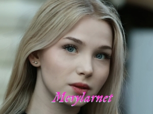 Merylarnet