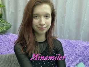 Minamiler