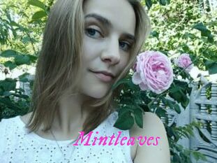 Mintleaves