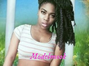 Modelmook