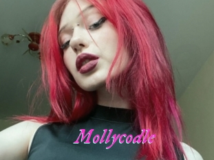Mollycodle