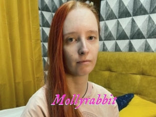 Mollyrabbit