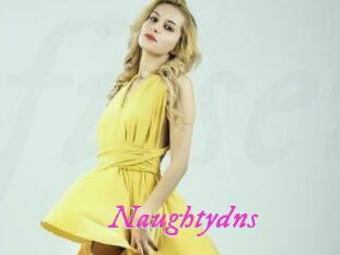 Naughtydns
