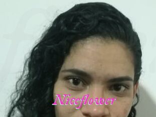 Nice_flower