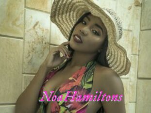 NoaHamiltons