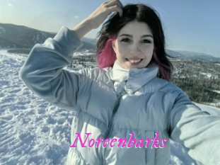 Noreenbarks