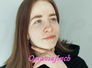 Octaviafinch