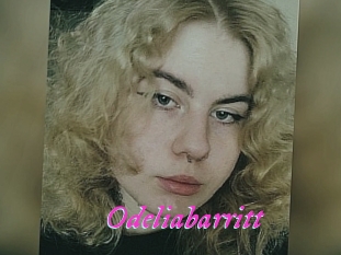Odeliabarritt