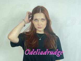 Odeliadrudge