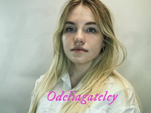 Odeliagateley