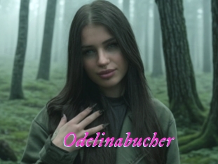 Odelinabucher