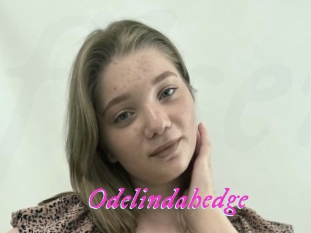 Odelindahedge