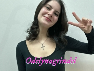 Odelynagrindel