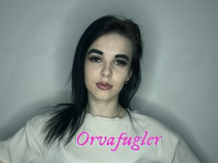 Orvafugler