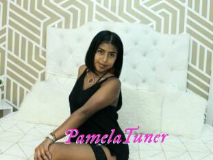 PamelaTuner