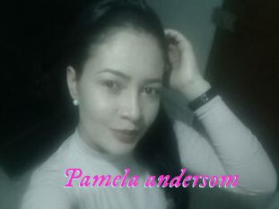 Pamela_andersom