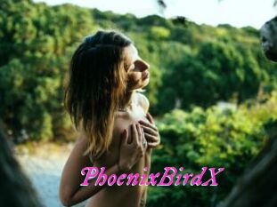 PhoenixBirdX
