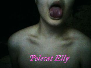 Polecat_Elly