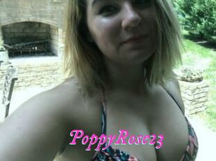 PoppyRose23