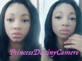 PrincessDestinyCamero