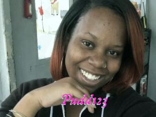 Pudd123