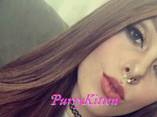 PurryKitten