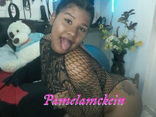 Pamelamckein