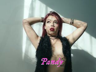 Pandy