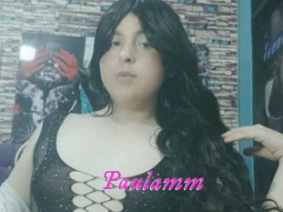 Paulamm