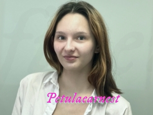 Petulaearnest