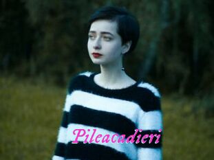 Pileacadieri