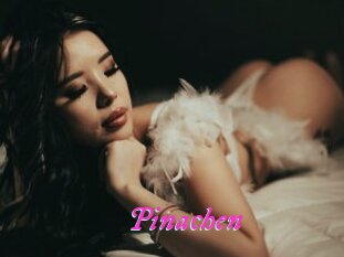 Pinachen