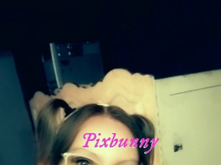 Pixbunny