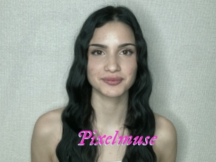 Pixelmuse