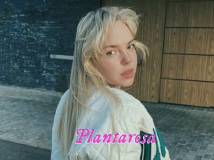 Plantarosa