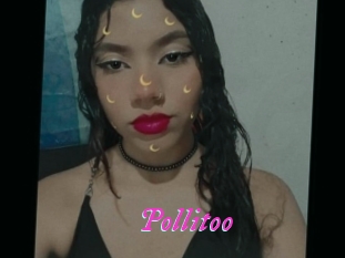 Pollitoo