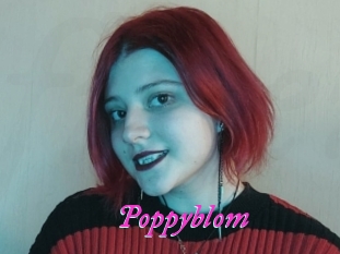 Poppyblom