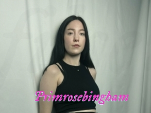 Primrosebingham