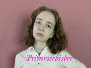 Primrosebisbee