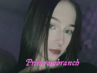 Primrosebranch
