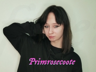 Primrosecoote