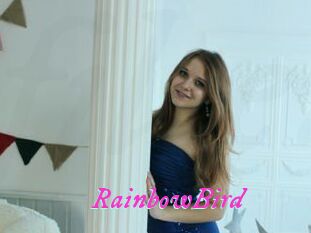 RainbowBird