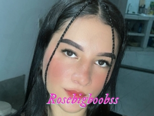 Rosebigboobss
