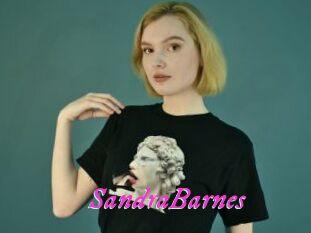 SandraBarnes