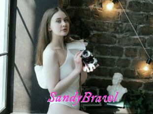 SandyBrawl