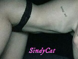 SindyCat