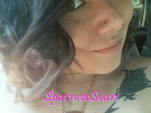 SparrowSoars