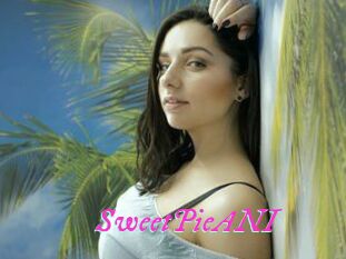 SweetPieANI