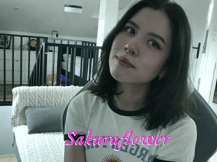 Sakuraflower