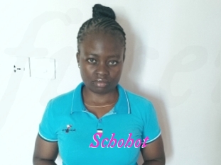 Schohot